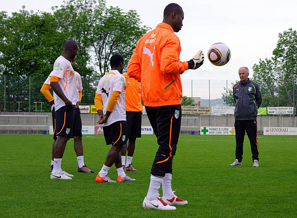 布亚完成梅 布亚完成梅