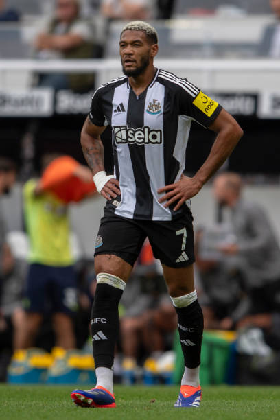 不可或缺的 不可或缺的